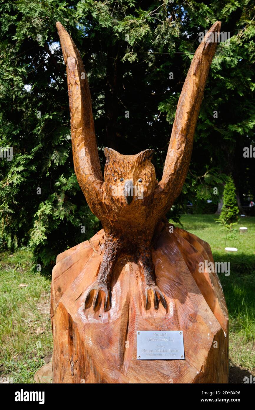 Scultura in legno di animale locale, Owl,l esposto nel parco di Brasov Foto Stock