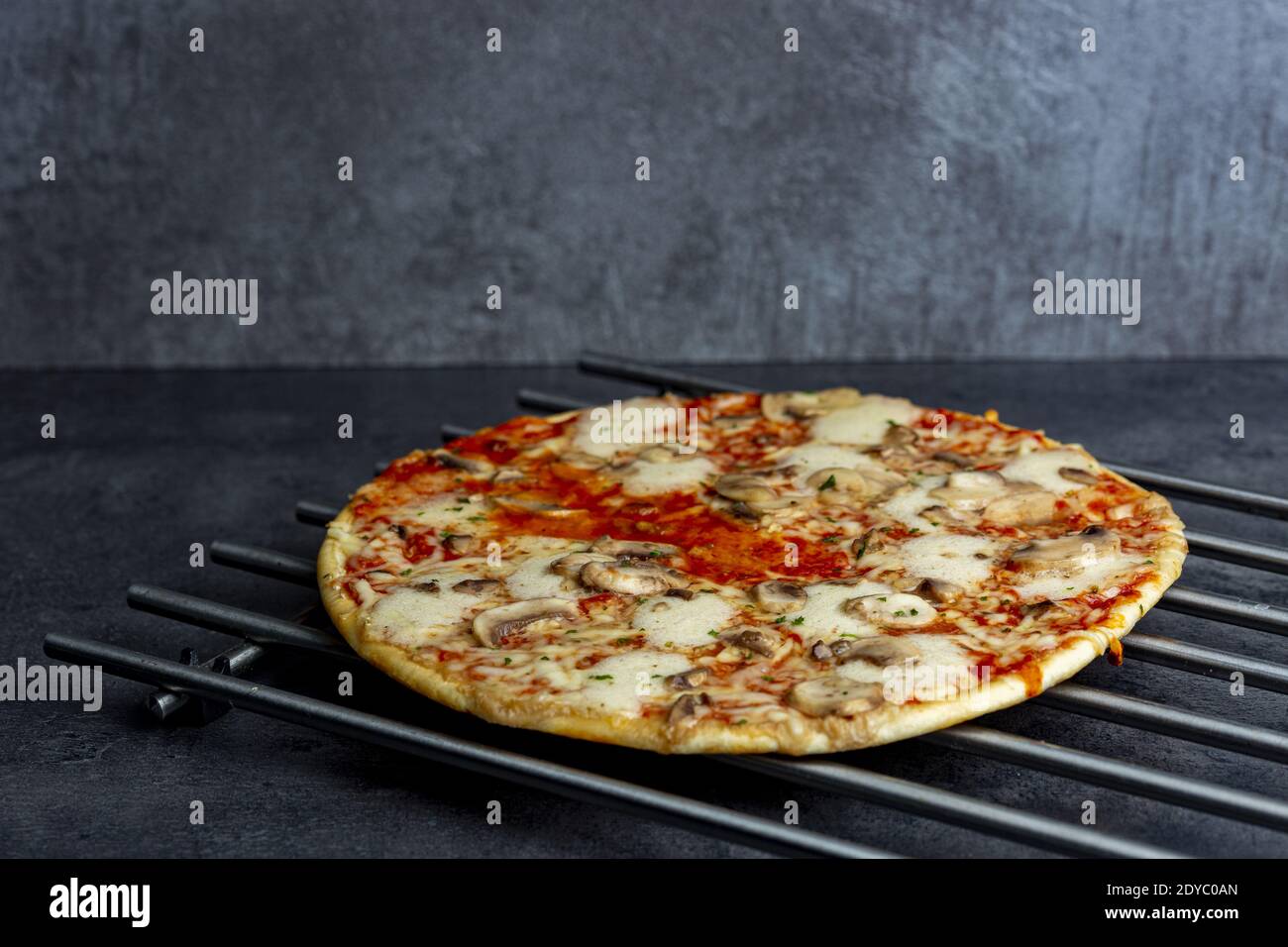 Contrasto di colore della semplice pizza di funghi al formaggio con cresta croccante e giallo dorato arancione tinta studio basso chiave still life contro un rustico blu scuro Foto Stock