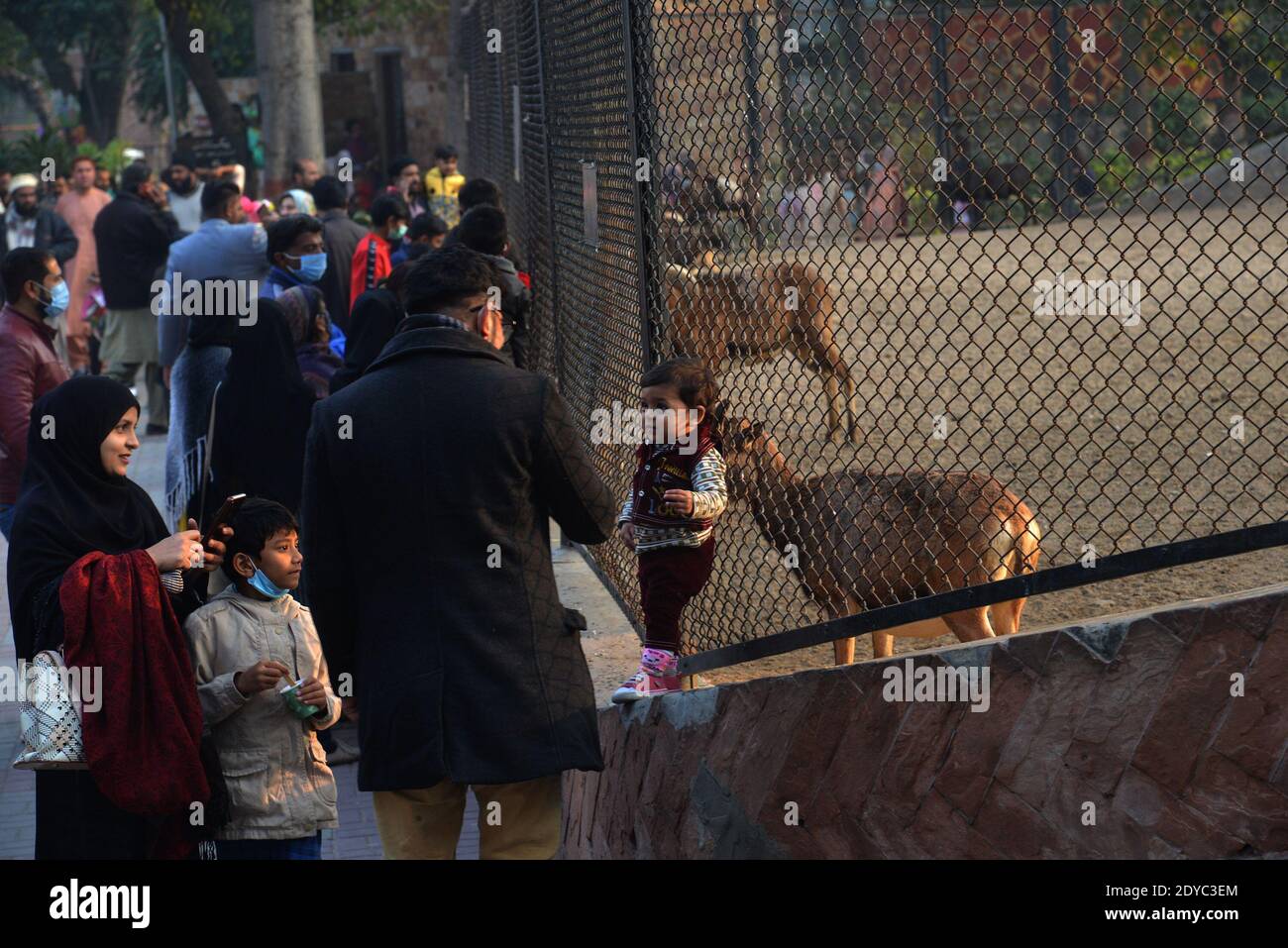 Pakistano un gran numero di Cristiani sta godendo a Lahore Zoo dopo le preghiere di Natale durante le celebrazioni di Natale in Lahore Foto Stock