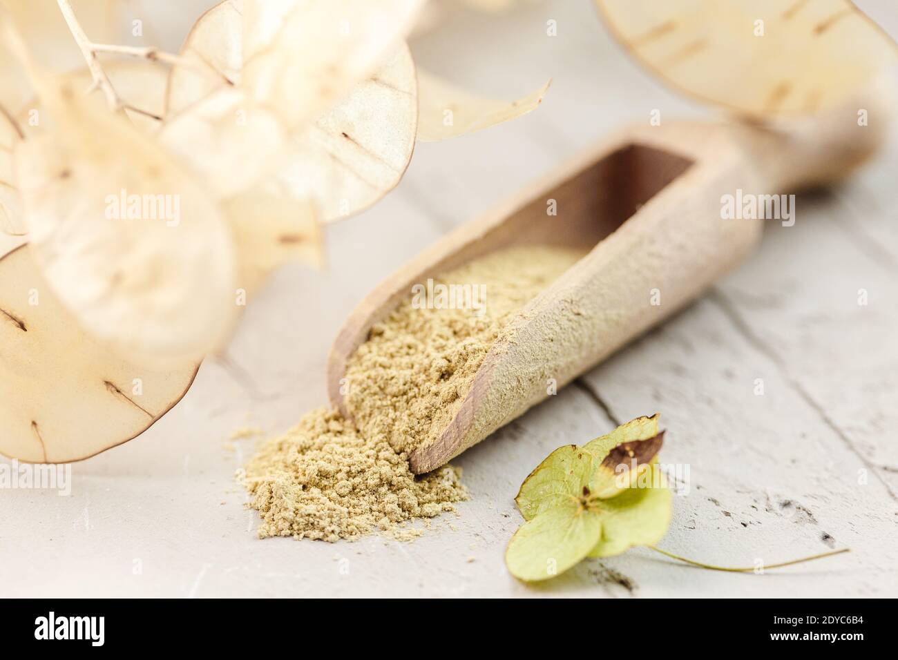 Abbronzatura cosmetica ayurvedica per la cura del viso e dei capelli. Polvere detergente in cucchiaio di legno Foto Stock