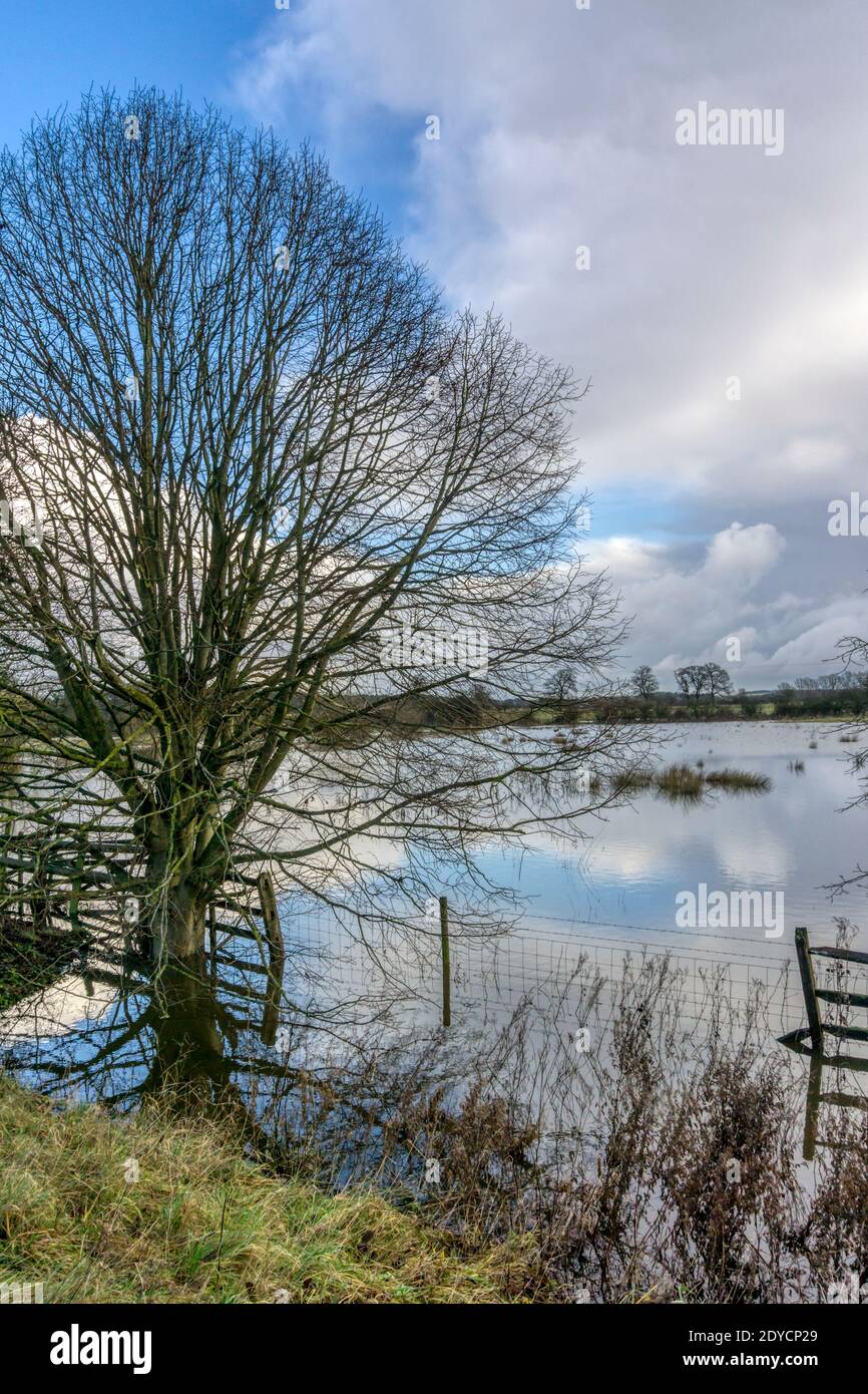 I campi di Norfolk si sono allagati in una bella giornata durante l'inverno. Vicino a Babingley in Norfolk ovest.. Foto Stock