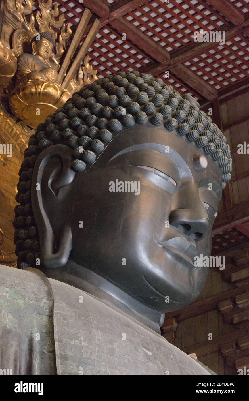 Giappone Nara dettaglio della statua di bronzo più grande del mondo del Buddha Vairocana nella Grande Sala del Buddha (Daibutsuden) presso il complesso del Tempio Todaiji. Foto Stock