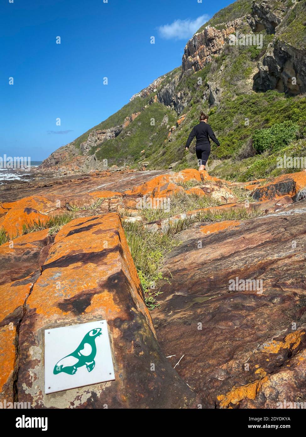 Baia di Plettenberg, Sudafrica – 29 ottobre 2019: Logo che mostra una foca verde lungo il sentiero escursionistico della Riserva Naturale di Robberg, Plettenberg Bay, Sud Africa Foto Stock