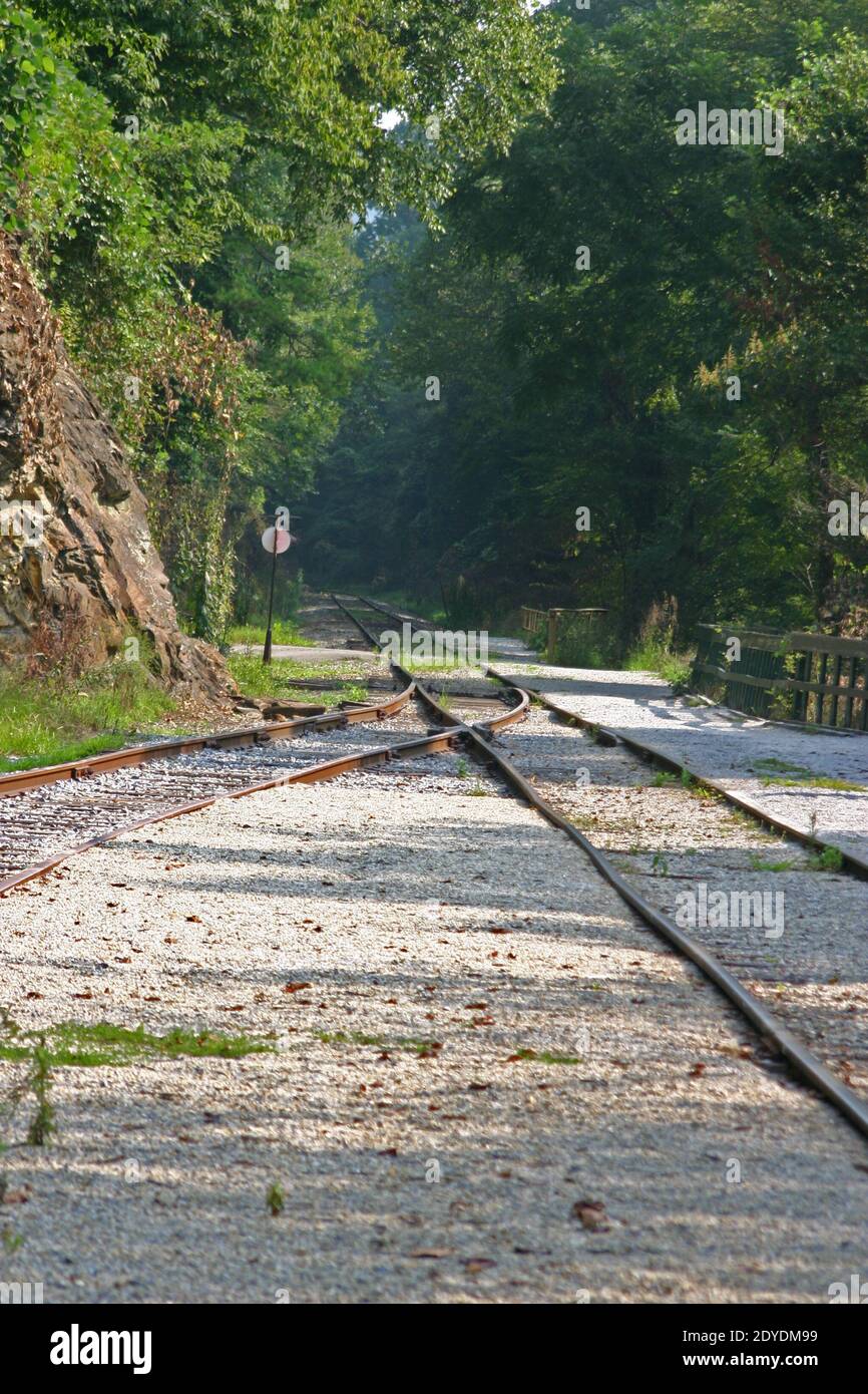 I vecchi binari del treno ferroviario si fondono o si separano nella foresta da un vecchio cartello ferroviario circolare in estate Foto Stock