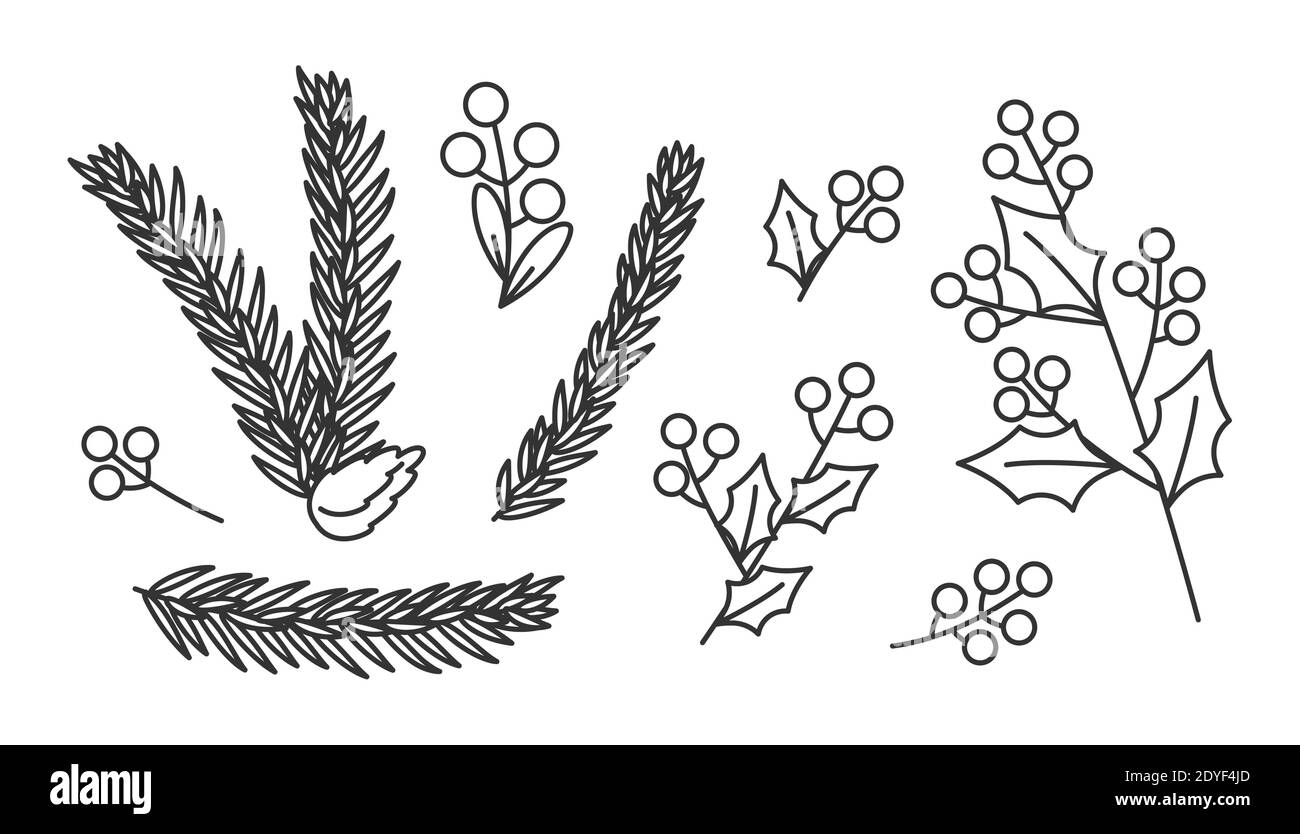 Set di pino ramato lineare natalizio con cono, bacche, foglie. Contorno nero elementi floreali invernali. Tradizionale simbolo vacanza di Capodanno. Decorazione di mistletoe isolato su illustrazione vettoriale bianca Illustrazione Vettoriale