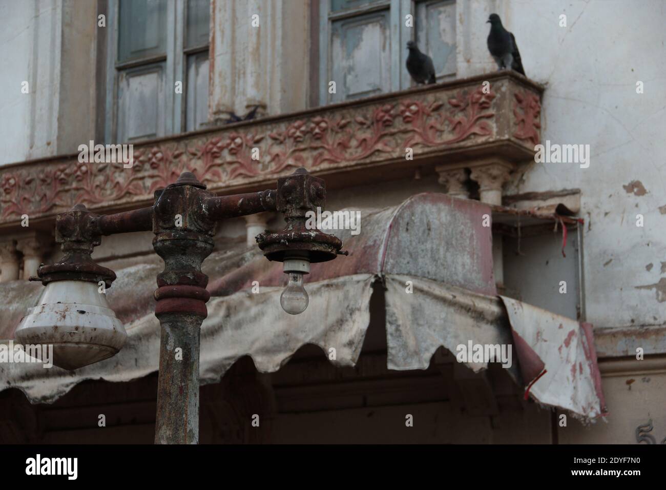 Pidgeon neri vicino alla finestra di una casa abbandonata con luce sul lato anteriore Foto Stock