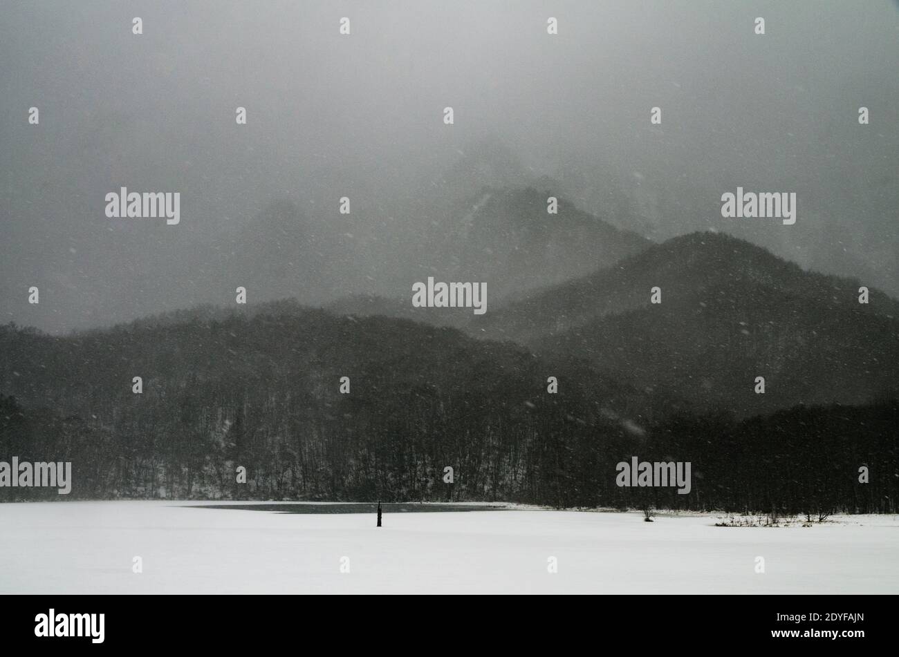 Kagami-ike stagno nella prefettura di Nagano del Giappone. Durante l'inverno, la neve cade coperta sulla superficie dell'acqua ed è bella. Foto Stock