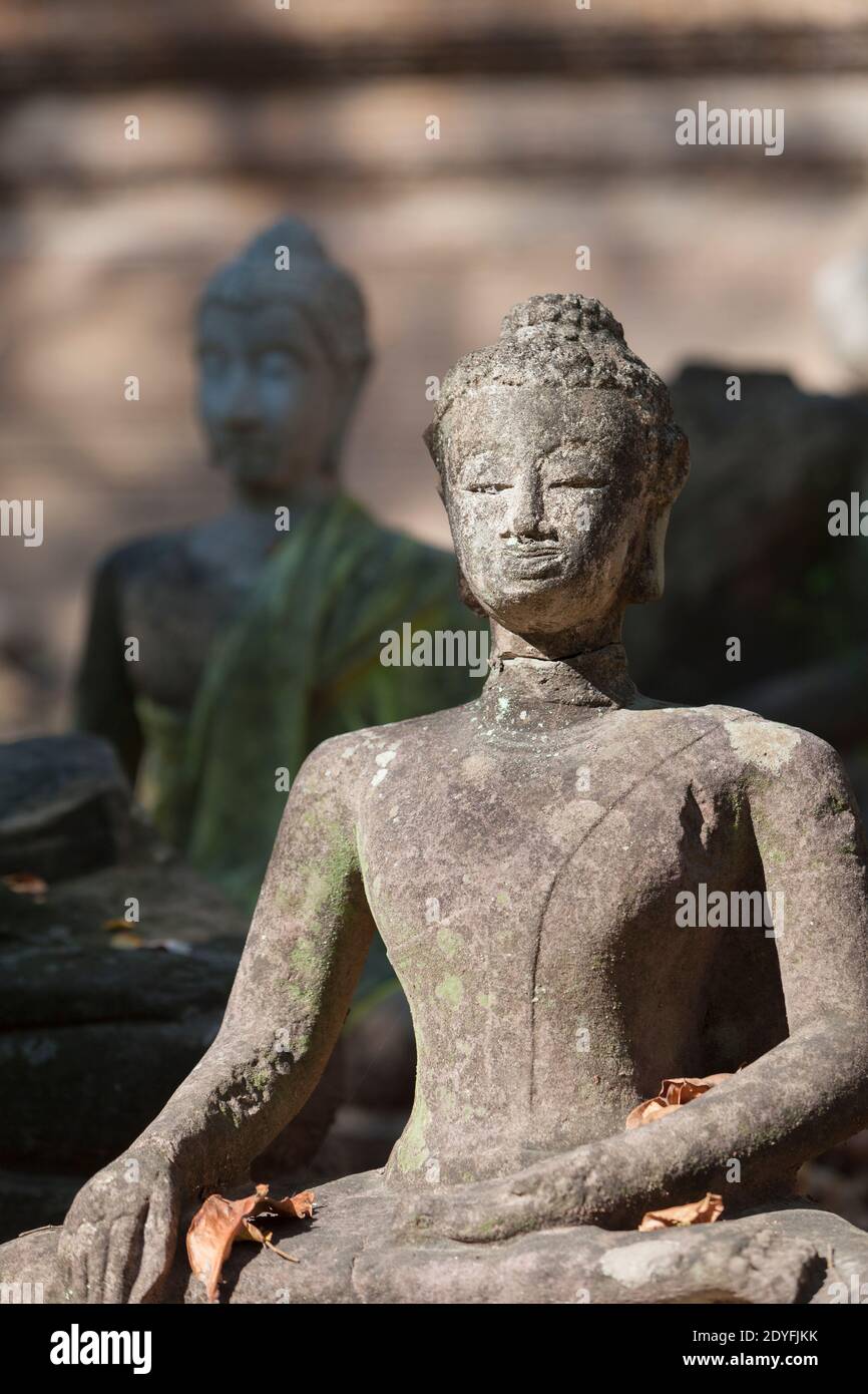 Scultura di Buddha dai giardini di Wat Umong, Chiang mai, Thailandia Foto Stock