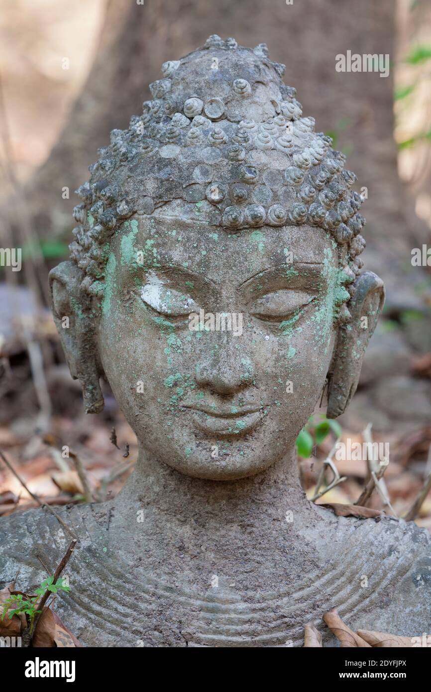 Scultura di Buddha dai giardini di Wat Umong, Chiang mai, Thailandia Foto Stock