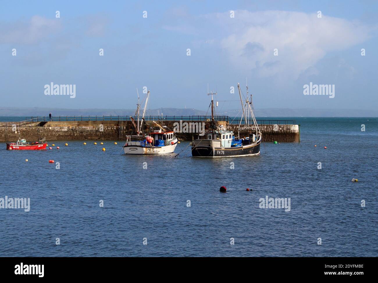 porto garibaldi pesca allo sgombro