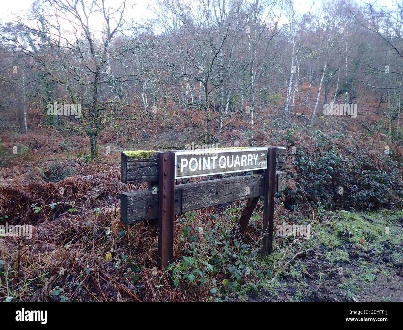 Point Quarry Forest of Dean Foto Stock