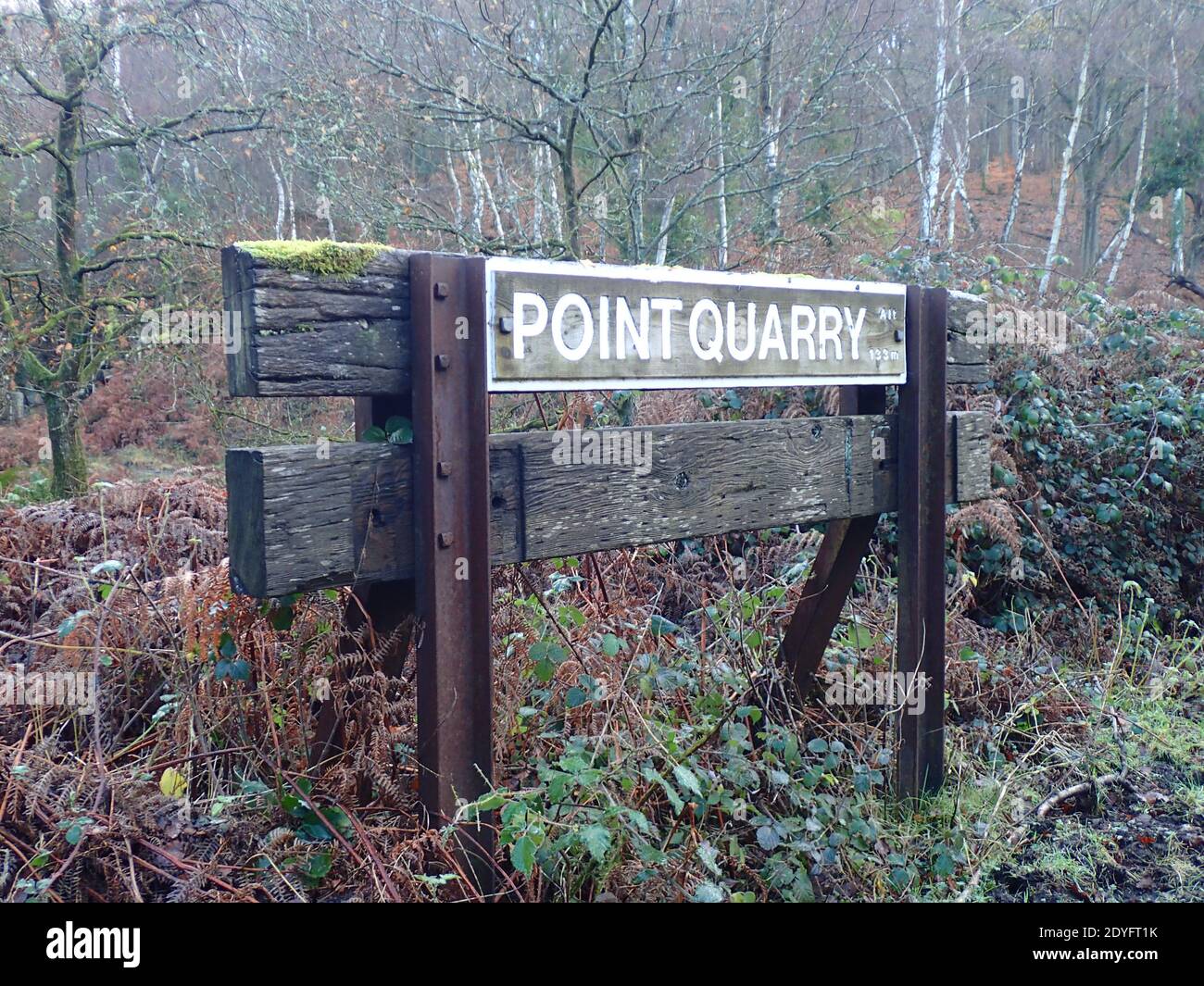 Point Quarry Forest of Dean Foto Stock