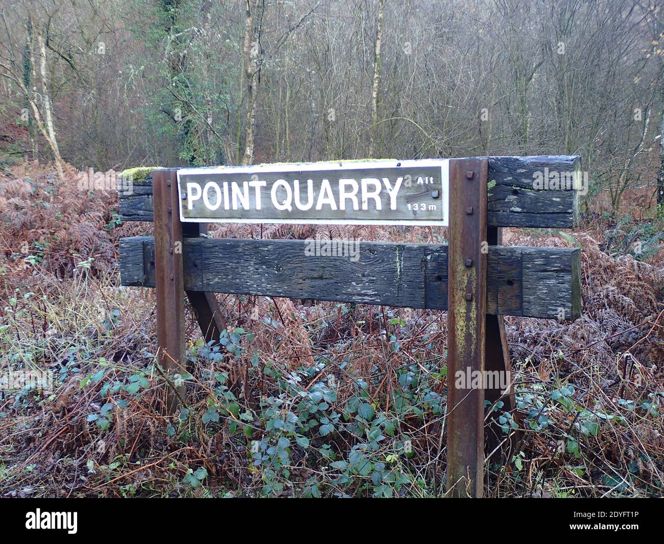 Point Quarry Forest of Dean Foto Stock