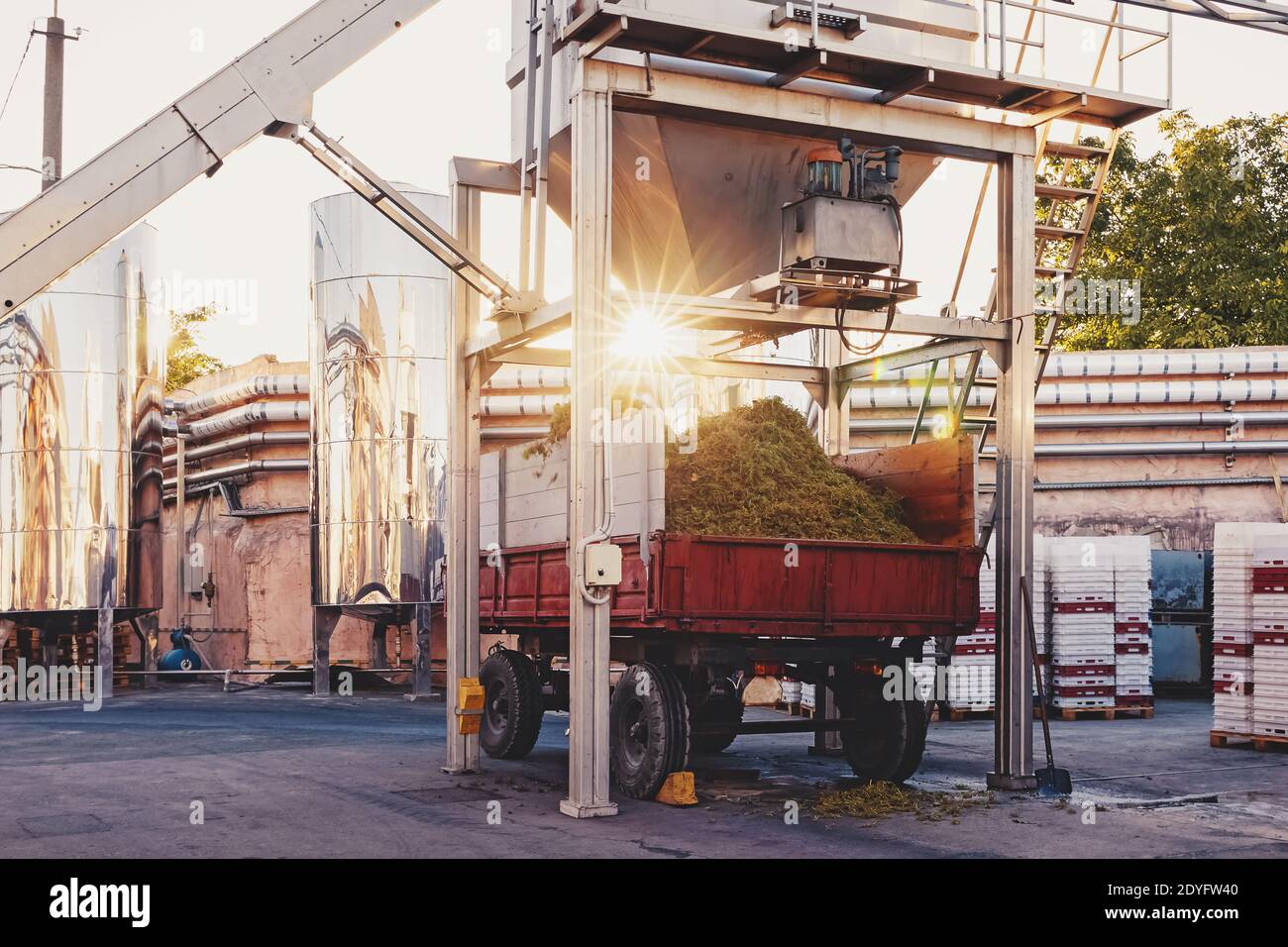 Attrezzature industriali della vineria, mashine per la separazione dei pettini d'uva Foto Stock
