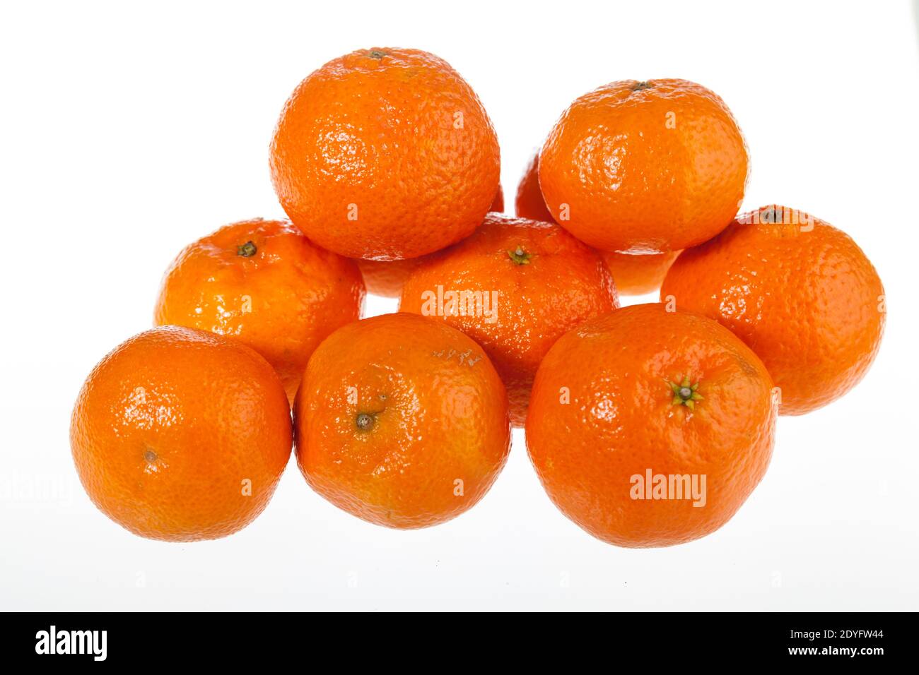 Arancio mandarino, Småcitrus (Citrus reticulata) Foto Stock