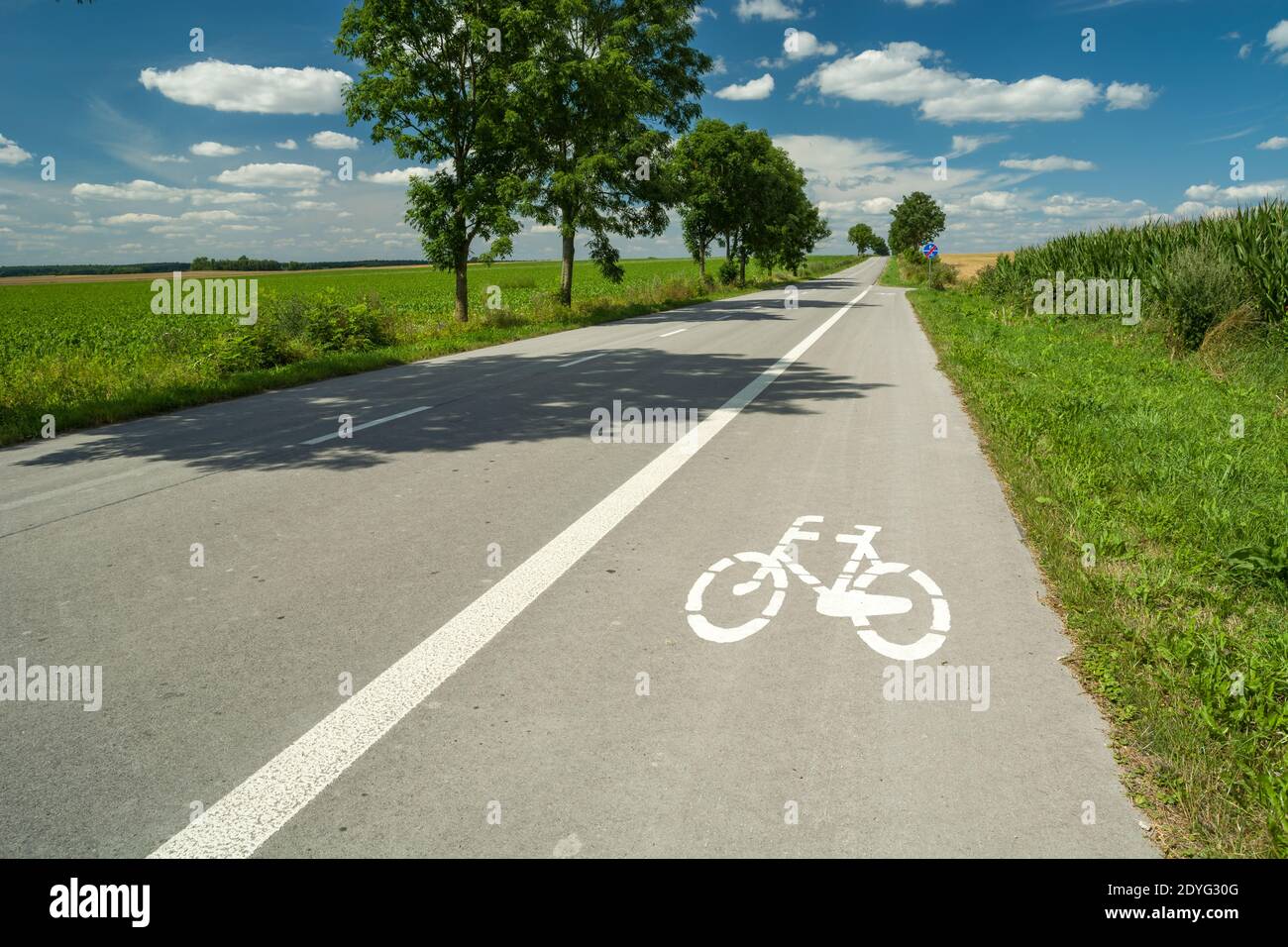Strada asfaltata in bicicletta sulla strada, alberi e cielo blu, vista estiva Foto Stock