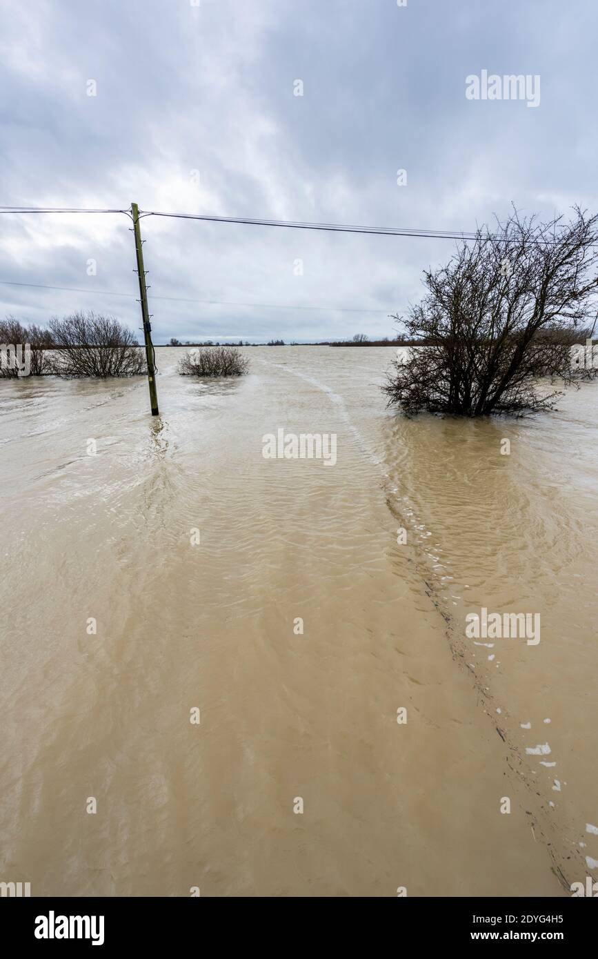 Sutton Gault Cambridgeshire, Regno Unito. 26 Dicembre 2020. Il fiume Great Ouse ha fatto esplodere le sue sponde sui livelli di New e Old Bedford dopo recenti forti piogge che hanno causato inondazioni lungo la valle di Ouse. I canali di drenaggio di livello Old e New Bedford sono il principale sistema di drenaggio per le Fens e East Anglia che porta acqua al Wash e Mare del Nord in Norfolk. Le strade sono chiuse, i livelli d'acqua sono alti e si prevede pioggia più pesante. Credit: Julian Eales/Alamy Live News Foto Stock