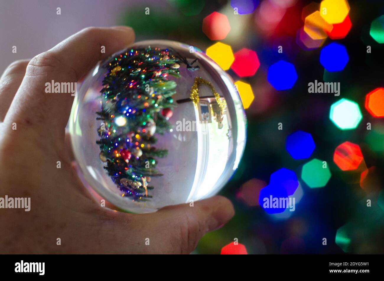 Guardando un albero di Natale con luci colorate attraverso una palla di obiettivo. Lo stesso albero di Natale è visto come bokeh colorato sullo sfondo. Foto Stock
