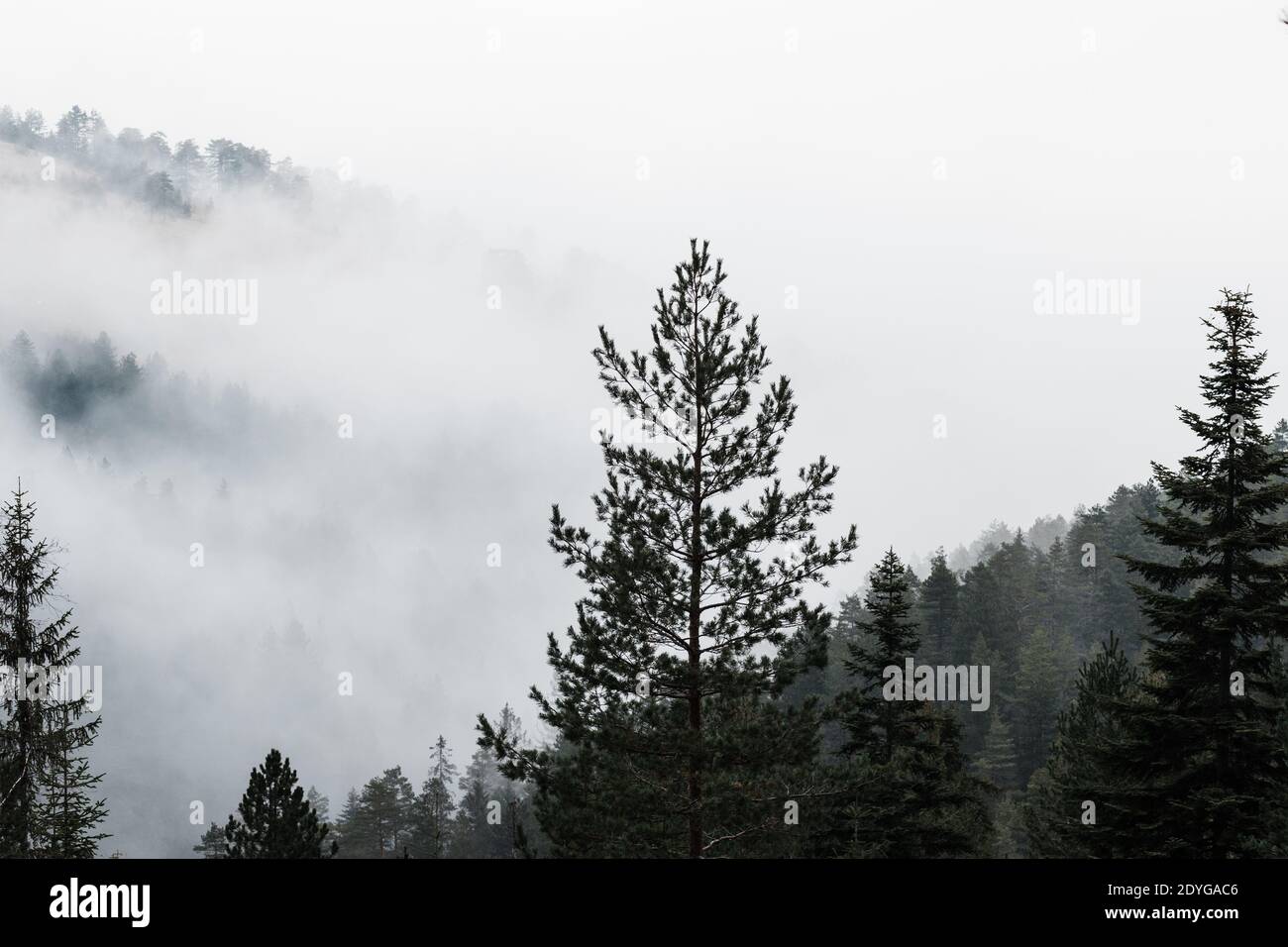 Catena montuosa Misty in prima mattina Foto Stock