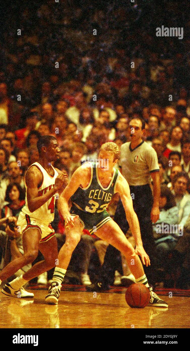 Larry Bird dei Boston Celtics controlla la palla mentre il Johnny Newman dei New York Knicks, difende durante una partita al Madison Square Garden il 26 marzo 1988. Foto Stock