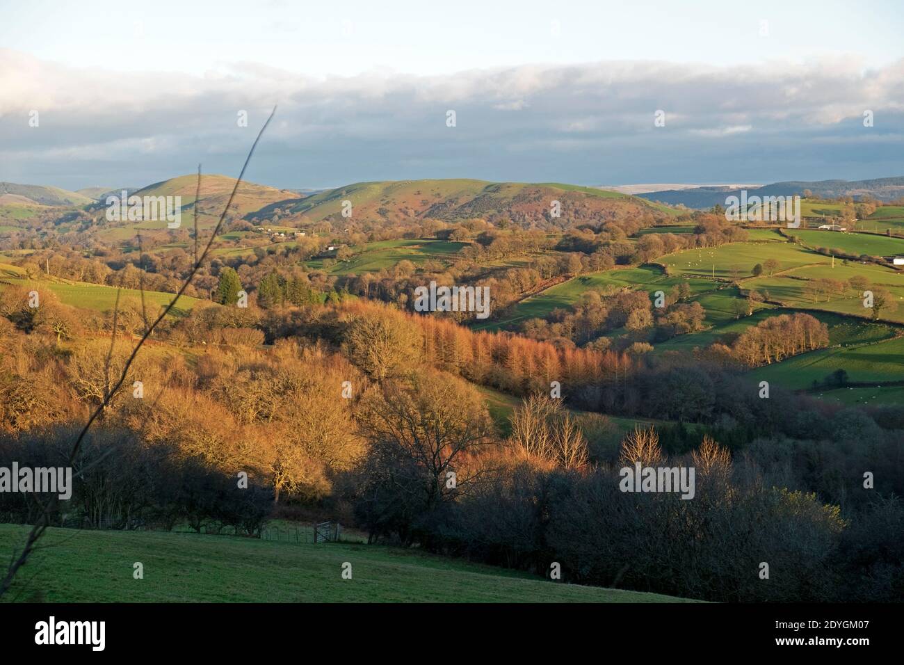 Vista sulle colline della fattoria nel paesaggio gallese in inverno Guardando verso Llandovery da Porth y Rhyd Llanwrda Carmarthenshire Wales REGNO UNITO KATHY DEWITT Foto Stock