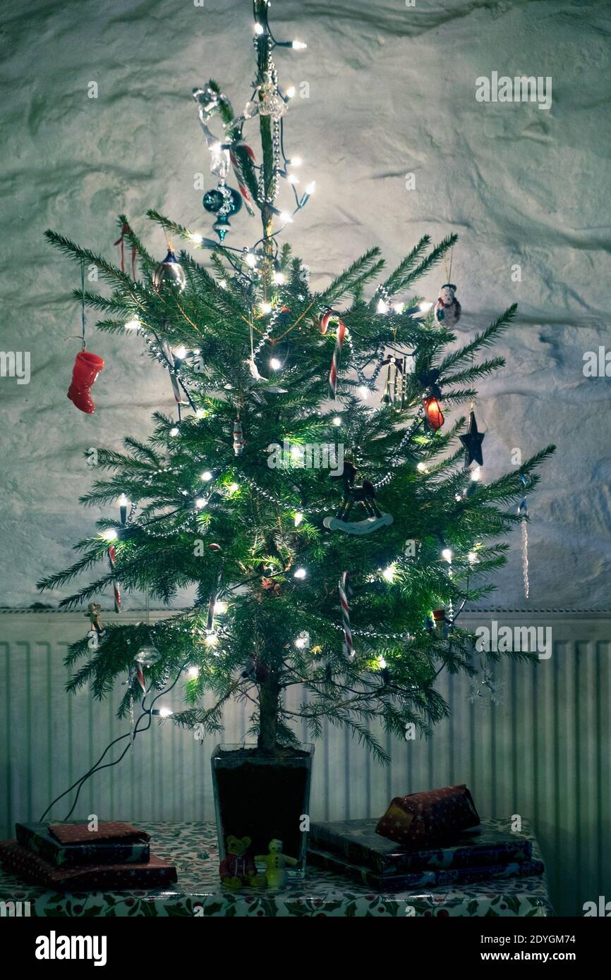 Un piccolo albero di Natale luci bianche fate decorazioni natalizie al chiuso baubles canne di caramelle casa casa casa casa Galles Regno Unito Gran Bretagna KATHY DEWITT Foto Stock