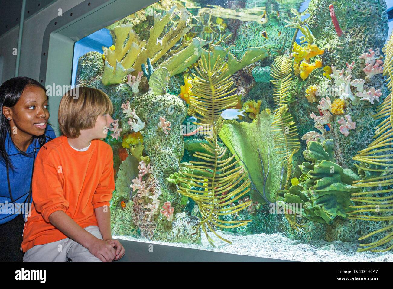 Birmingham Alabama, McWane Science Center, mostra World of Water Ocean's Edge Aquarium, donna nera volontario che spiega il look del ragazzo Foto Stock