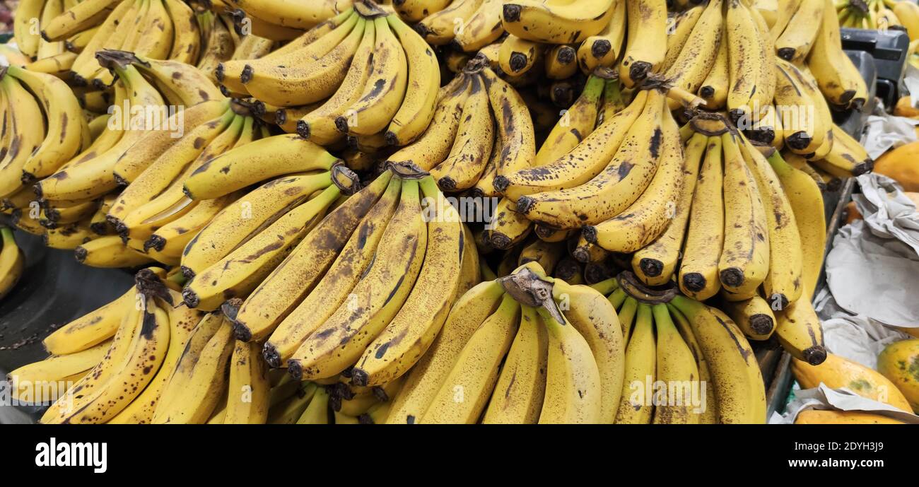 Banane in vendita. Frutta tropicale. Frutti gialli e maturi utilizzati per il consumo umano. Frutta ricca di calcio e fonte di potassio. Foto Stock