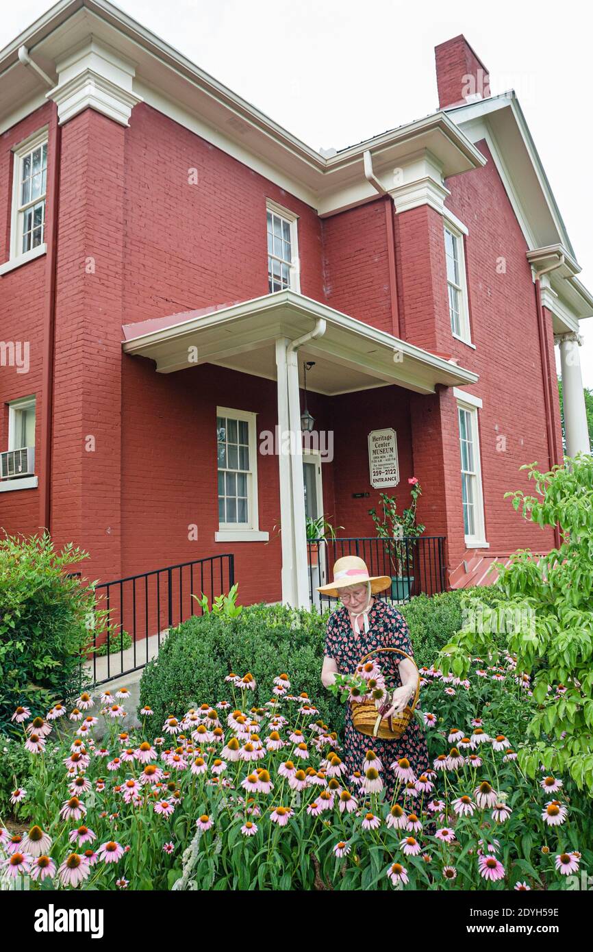Alabama Scottsboro Heritage Center, Brown Proctor House 1880 antebellum, giardino coneflower donna donna donna donna giardinaggio, Foto Stock