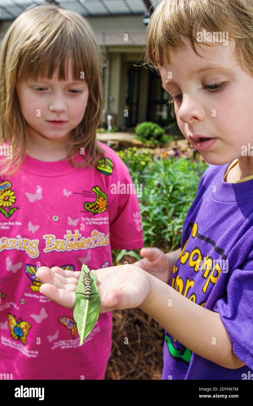 Huntsville, Alabama, Giardino Botanico Butterfly House, bambini ragazzo ragazza che guarda bruco, Foto Stock