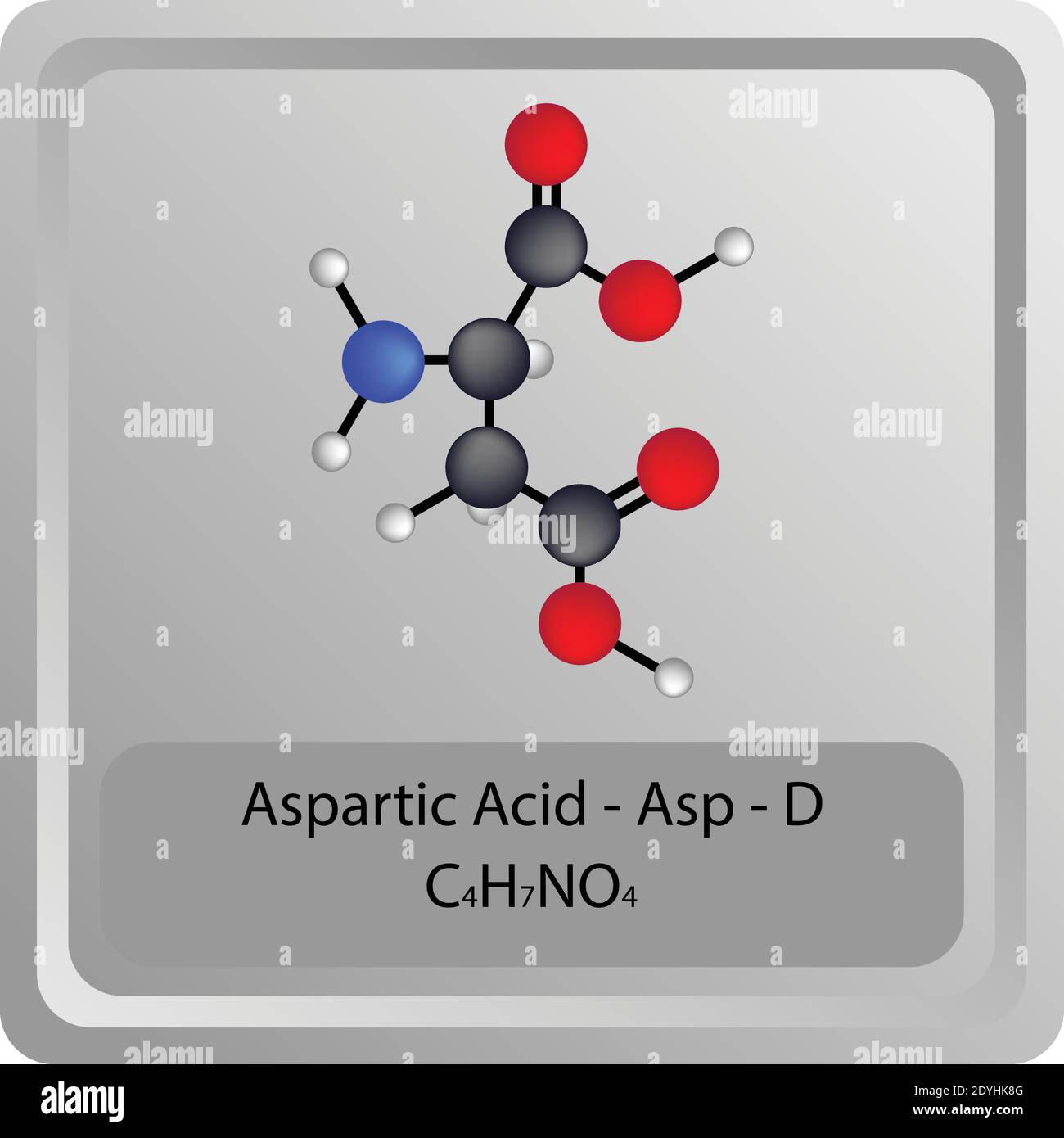 Struttura chimica dell'amminoacido aspartico – ASP – D. Molecola modello a sfera e stick di formula molecolare. Biochimica, medicina ed educazione scientifica. Illustrazione Vettoriale