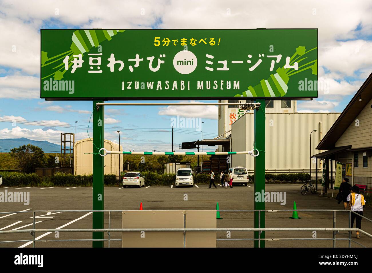 Museo Izu Wasabi in Giappone, Prefettura di Shizuoka. Izu è l'unica regione in Giappone dove si coltiva il wasabi. La pianta esigente richiede un microclima molto specifico ed è in industria importante sulla penisola. Foto Stock