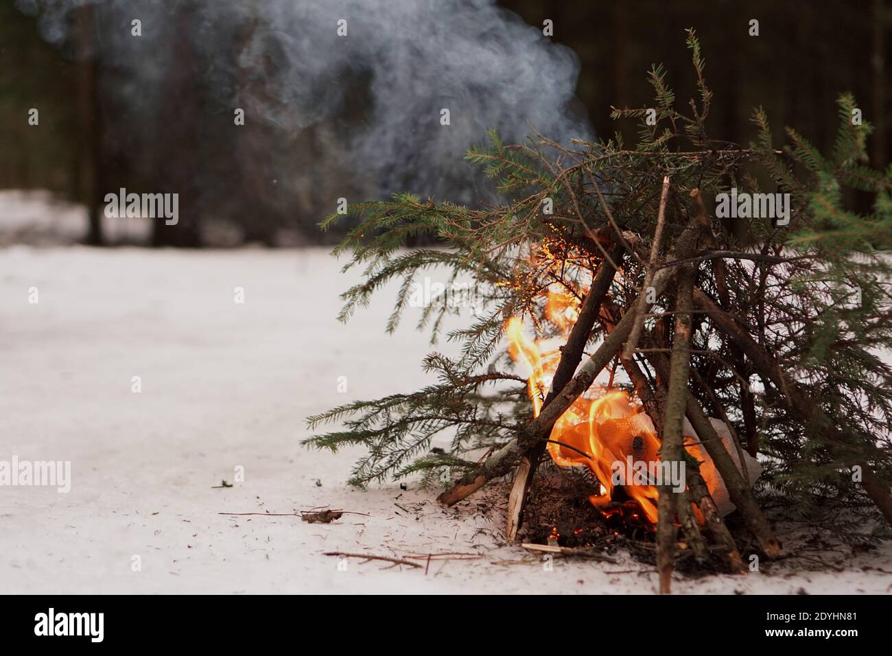 Falò di rami di abete nella foresta invernale, la sopravvivenza nel freddo e la fauna selvatica Foto Stock