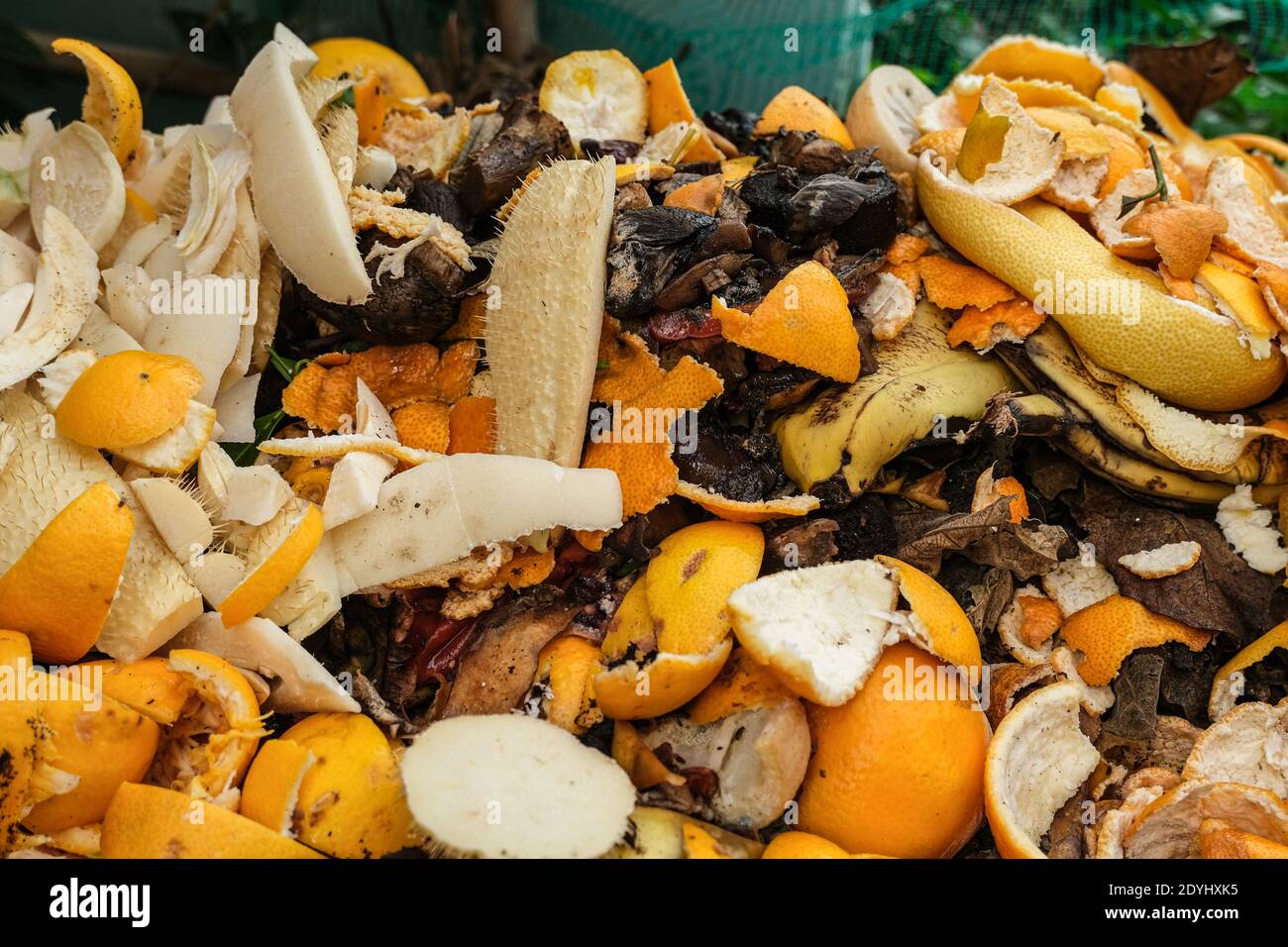 Rifiuti alimentari scarico scartato per concime di compostaggio, rifiuti consumerismo Foto Stock
