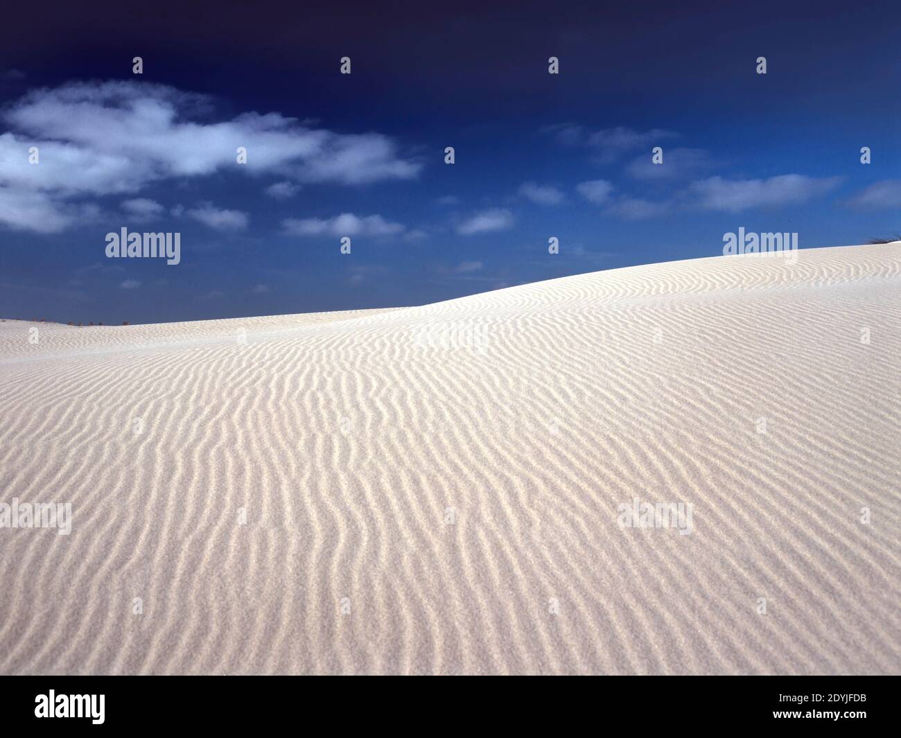 Dune di sabbia e recinzioni da Aveiro, vicino al mare, Portogallo. Analogico: Pellicola da 120 vetrini. Foto Stock