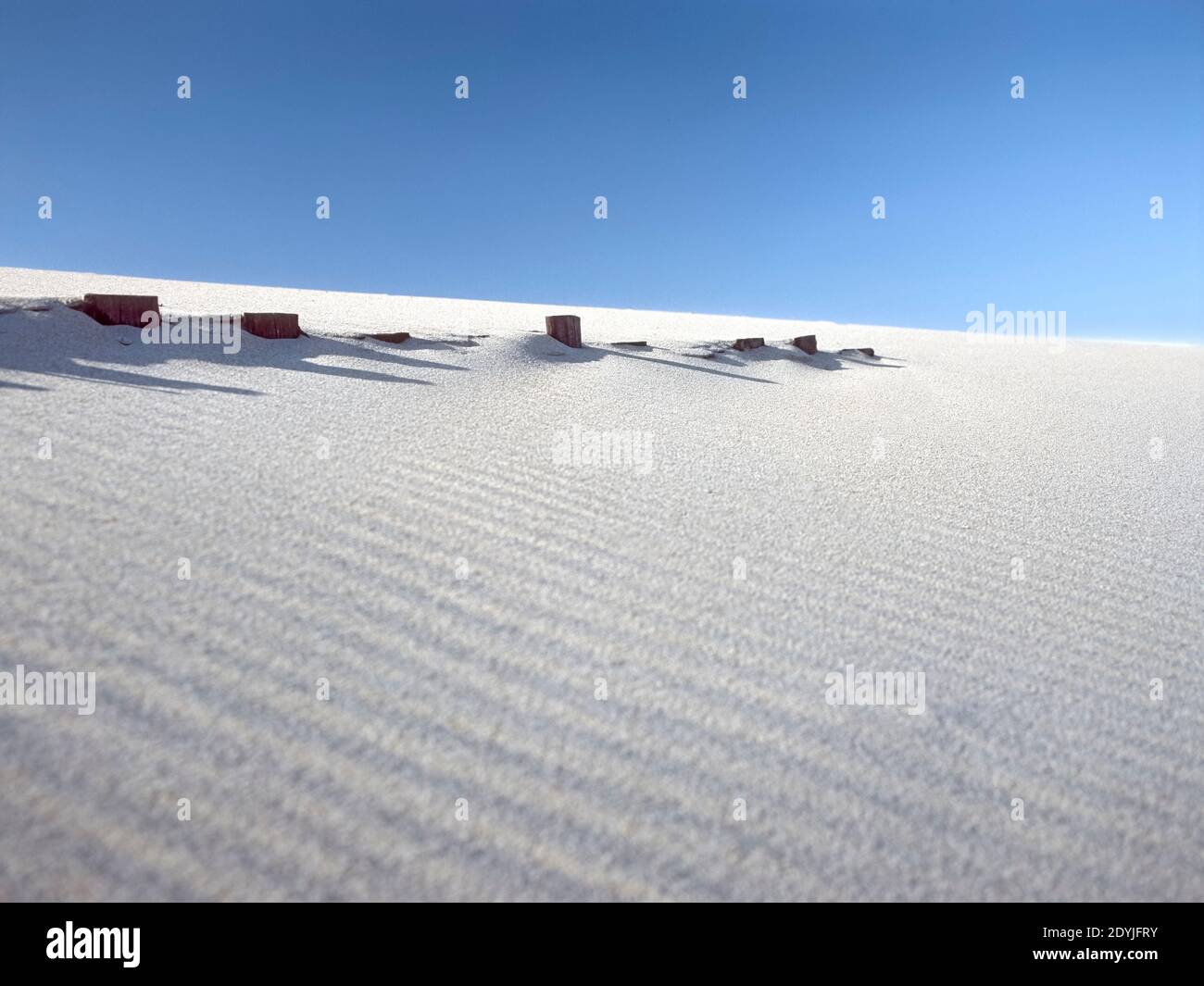 Dune di sabbia e recinzioni da Aveiro, vicino al mare, Portogallo. Analogico: Pellicola da 120 vetrini. Foto Stock
