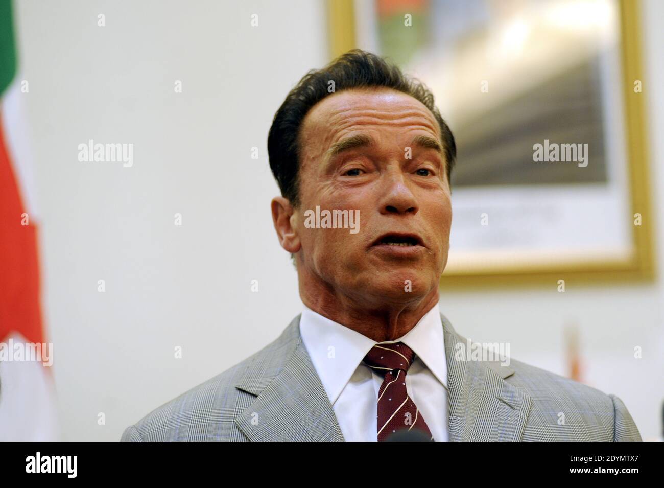 Ex Governatore della California e Presidente fondatore dell'iniziativa R20 - regioni dell'azione climatica, Arnold Schwarzenegger interviene durante una conferenza stampa con il Ministro algerino della Pianificazione e dell'ambiente, Amara Benyoes (non nella foto) ad Algeri, Algeria, il 25 giugno 2013. Foto di Ammie Louiza/ABACAPRESS.COM Foto Stock