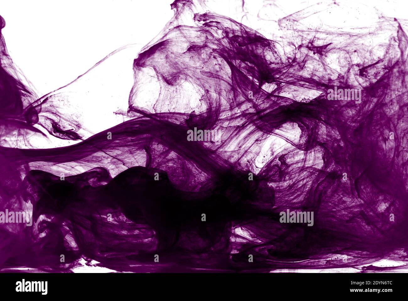 Astratto viola spruzzi di vernice nuvola isolato su sfondo bianco. Foto Stock