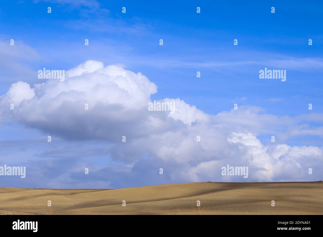 Agricoltura sostenibile: Terra arata con cielo blu e nuvole. Foto Stock