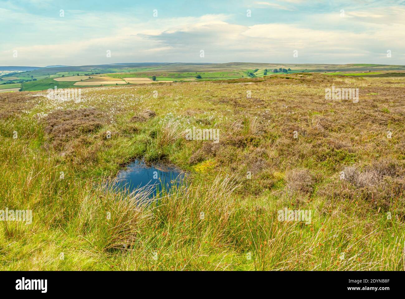 Heath Land Landscape a North York Moors o North Yorkshire Moors nel North Yorkshire, Inghilterra Foto Stock