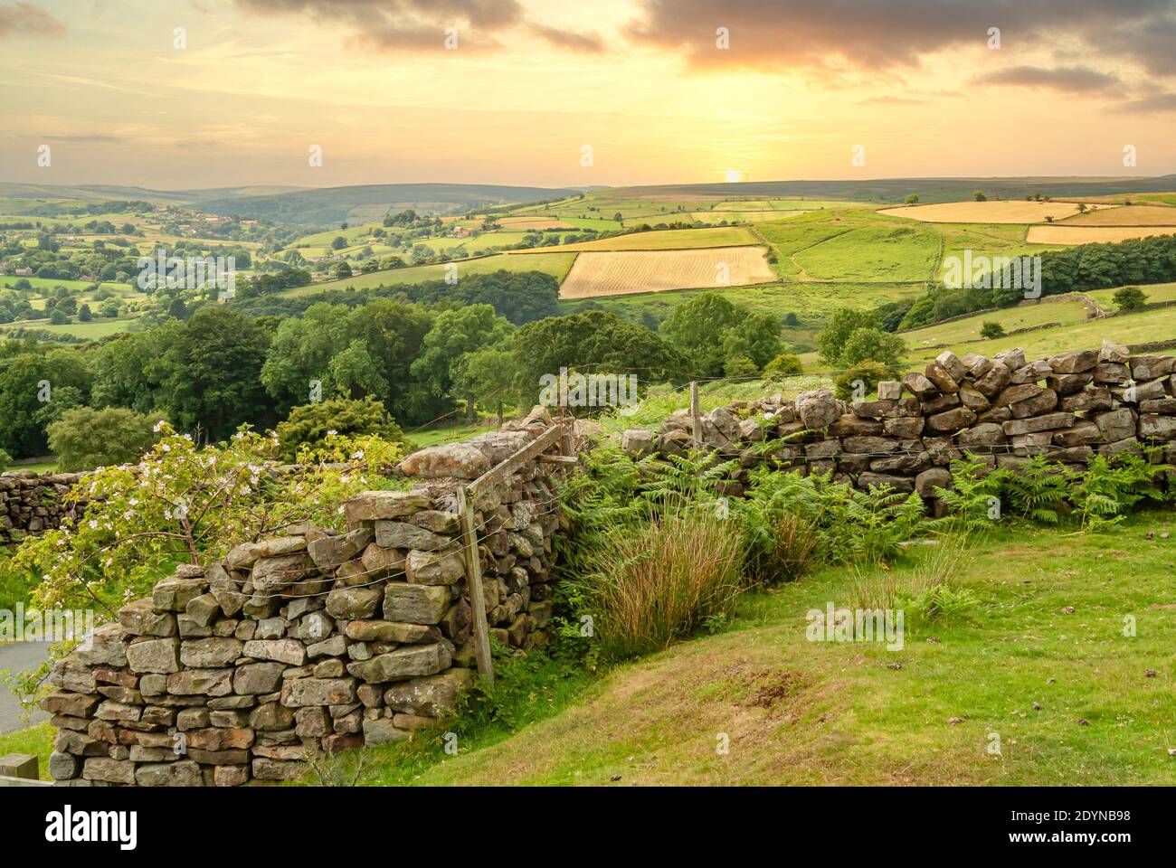 Muro di pietra a secco a North York Moors o North Yorkshire Moors nel North Yorkshire, Inghilterra Foto Stock