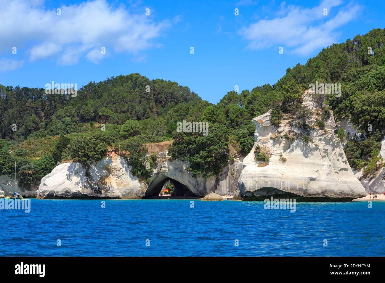 Cathedral Cove, un'attrazione turistica sulla Penisola di Coromandel, Nuova Zelanda. Il famoso arco di roccia e te Hoho Rock Foto Stock