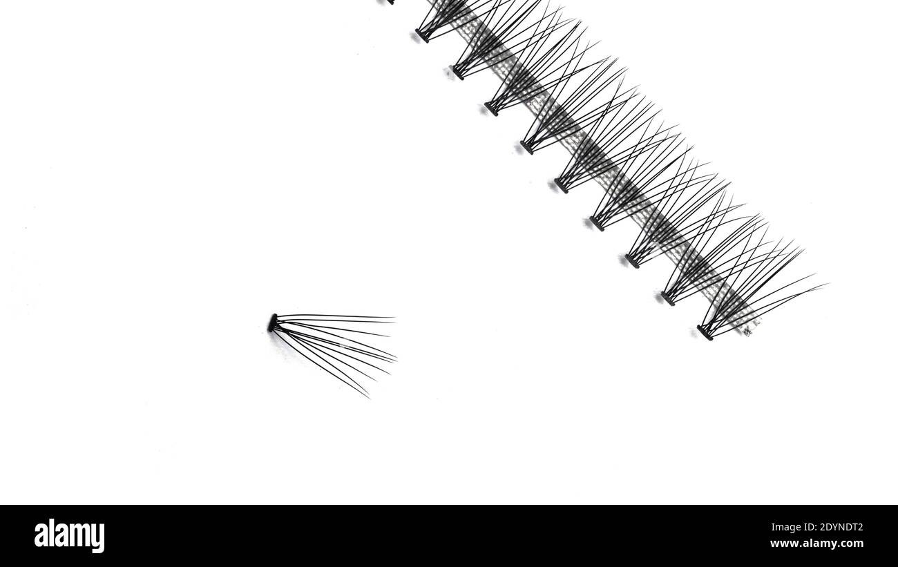 Ciglia false, fasci di ciglia, ciglia nere false, isolate su sfondo bianco. Foto di alta qualità Foto Stock