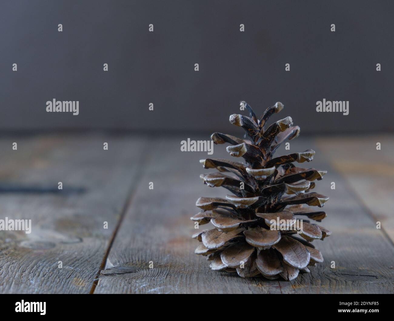 Cono di pino su un tavolo di legno Foto Stock