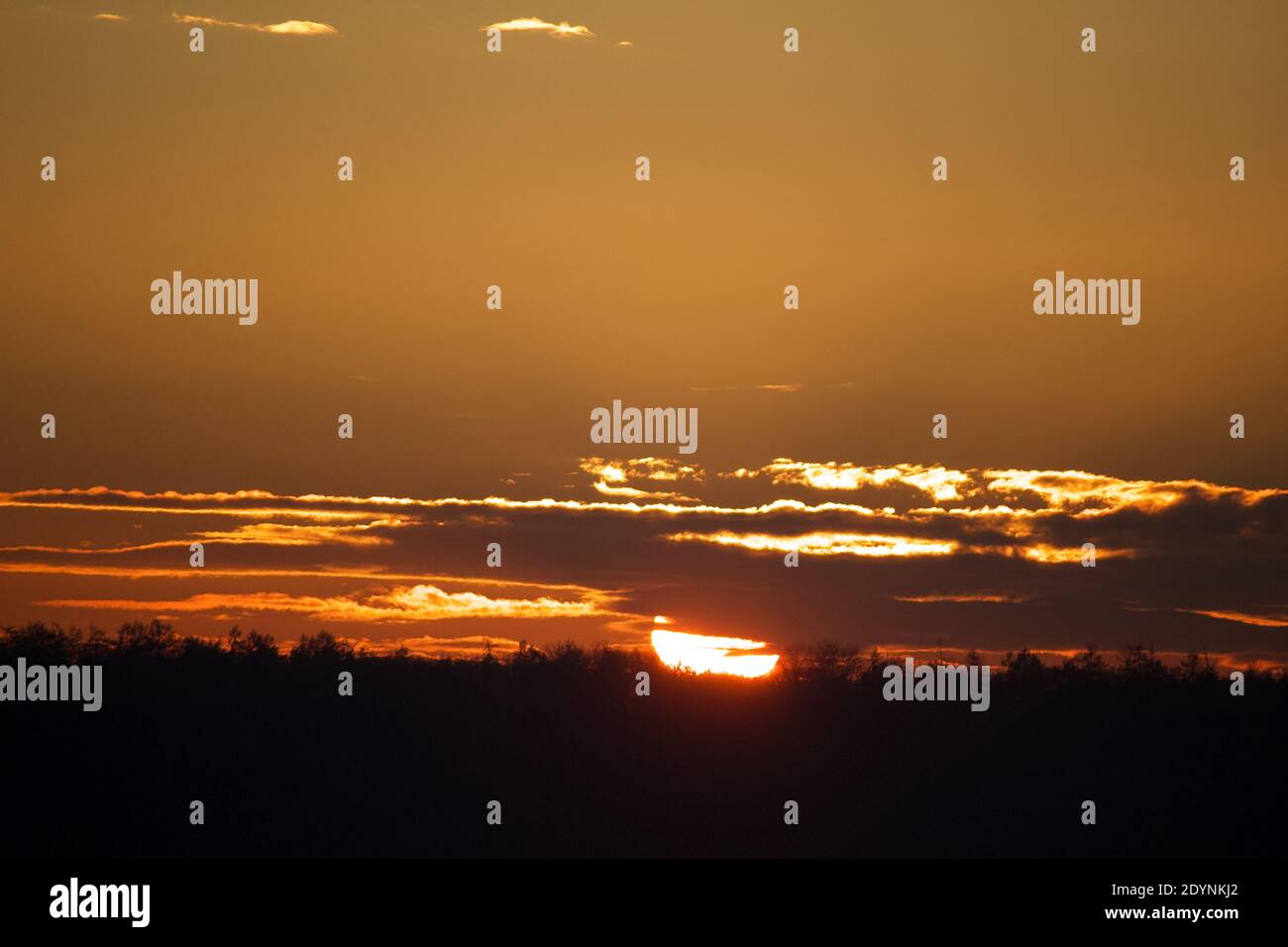 sole su boschi Foto Stock
