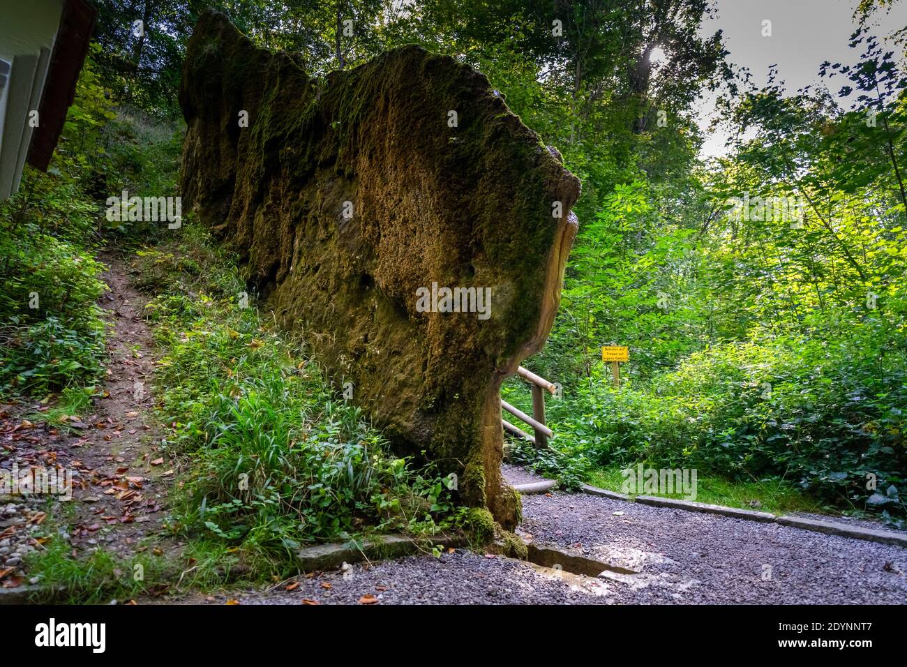 Growing Rock vicino a Landau in Baviera Germania Foto Stock