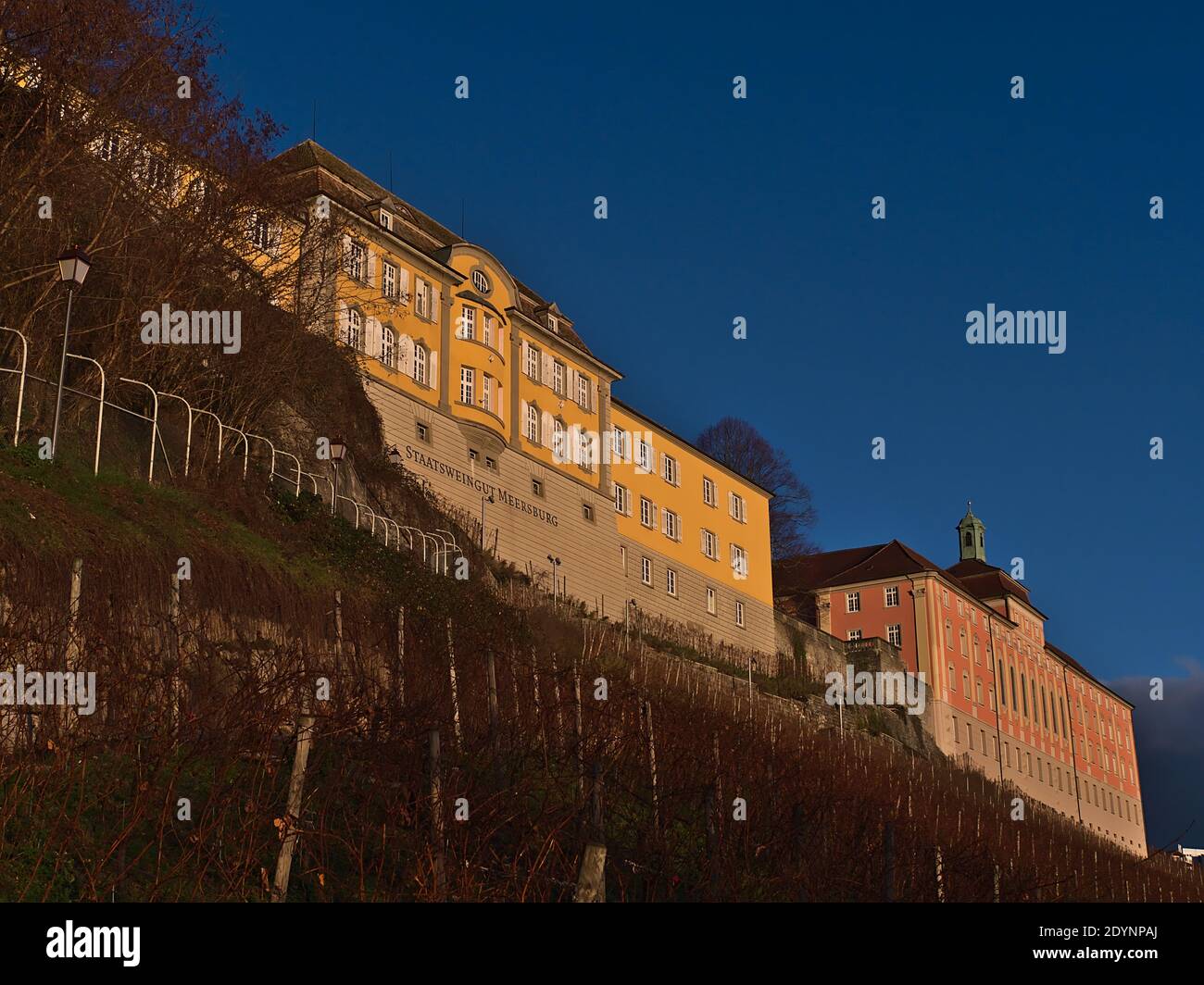 Splendida vista sui vigneti di Staatsweingut Meersburg (azienda vinicola statale) e sugli edifici storici con facciate di colore rosa e giallo nel pomeriggio. Foto Stock