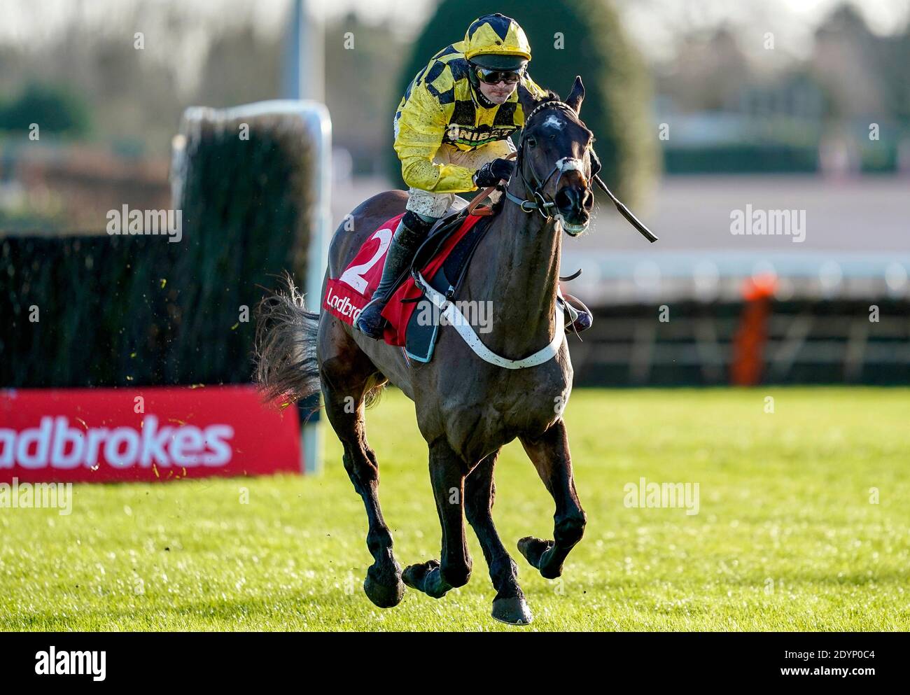 Shishkin guidato da Nico de Boinville sulla loro strada per vincere il Ladbrokes Wayward Lad Novices' Chase al Kempton Park Racecourse, Surrey. Foto Stock