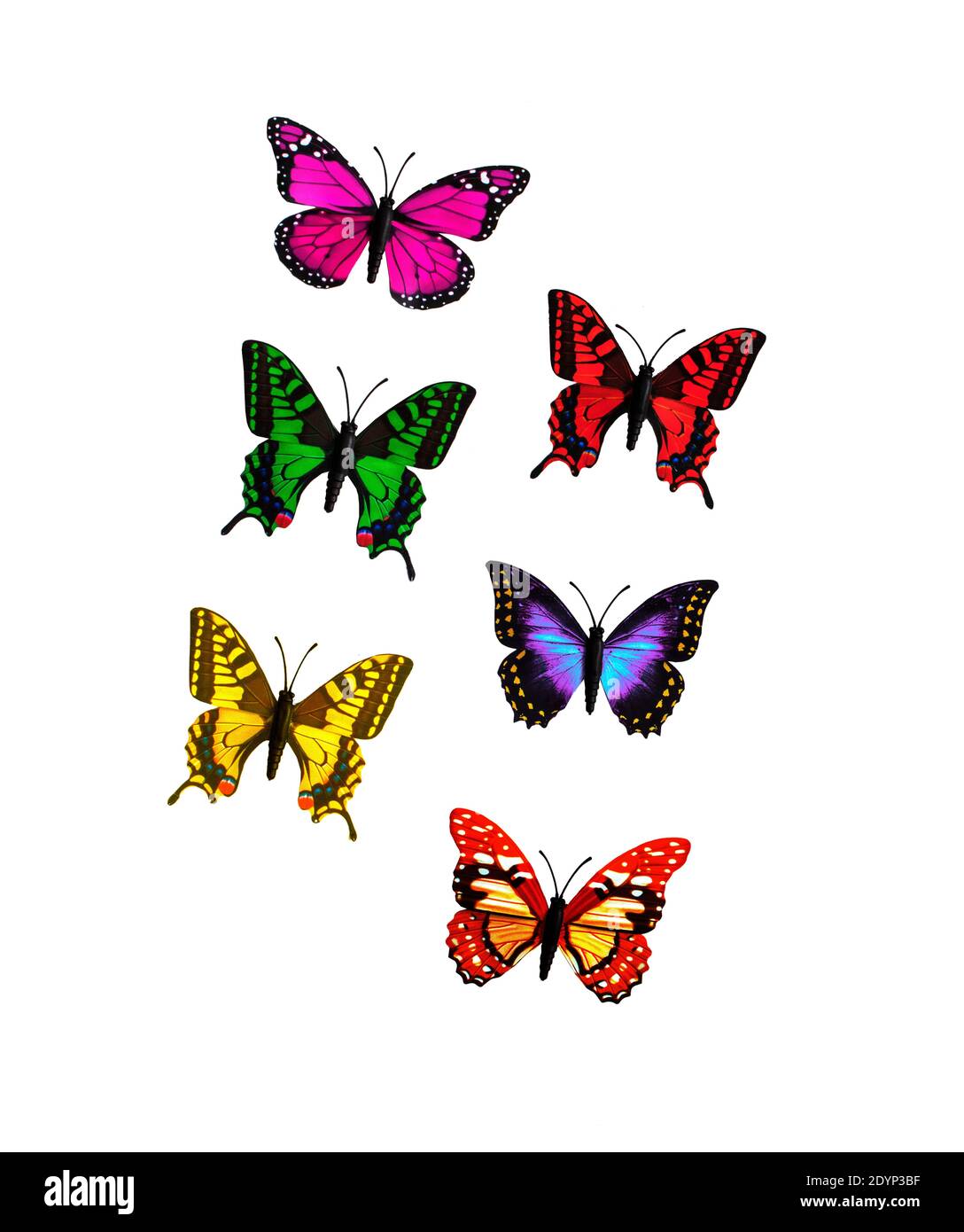 Farfalle colorate - QATAR Foto Stock