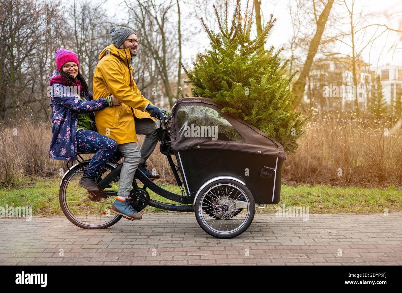 Coppia che ha un giro con la bici del carico che trasporta l'albero di Natale Foto Stock